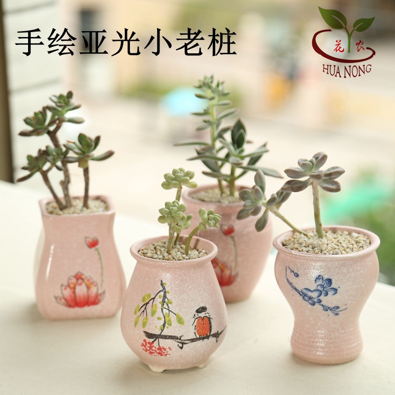 5S9A4288_看图王_副本