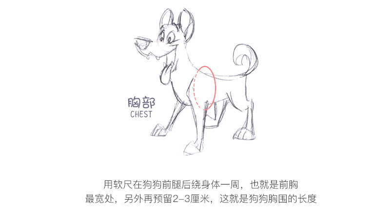 QQ截图20170628142159