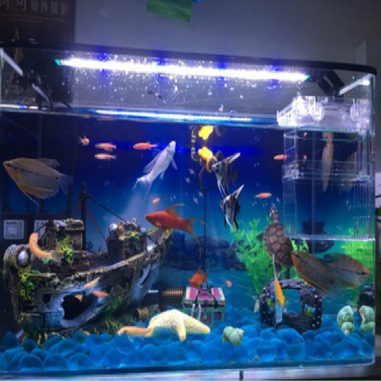 TB2_v2LietTMeFjSZFOXXaTiVXa_!!