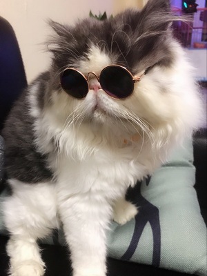 TB2jRzNdtbJ8KJjy1zjXXaqapXa_!!