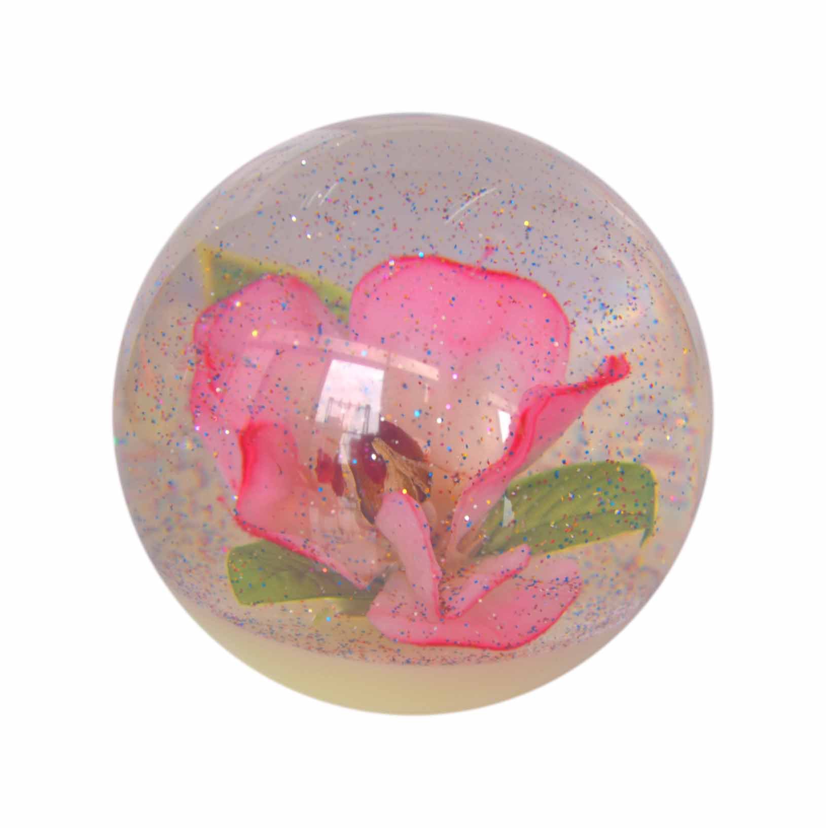 照片 817