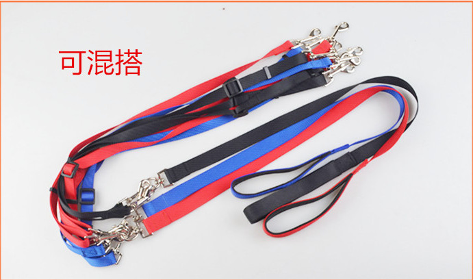 5251156536_1385077638