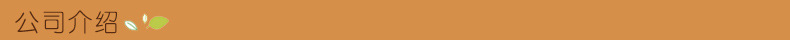 公司介绍