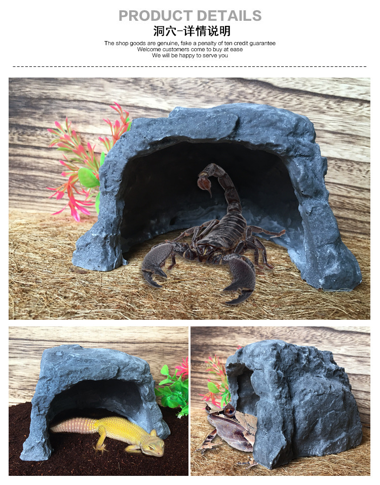 爬宠躲避树脂_22