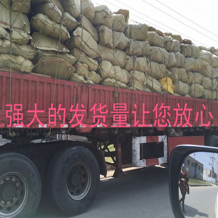 3296150927_1339567450