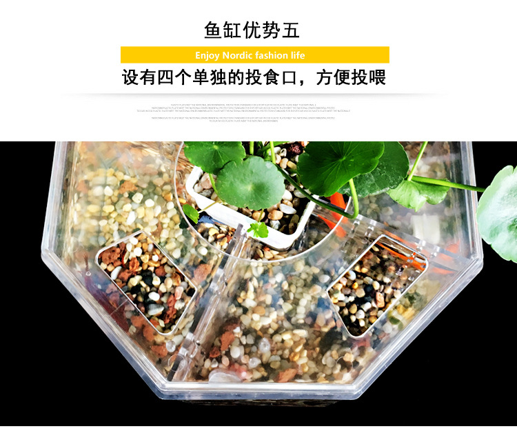 斗鱼缸_15