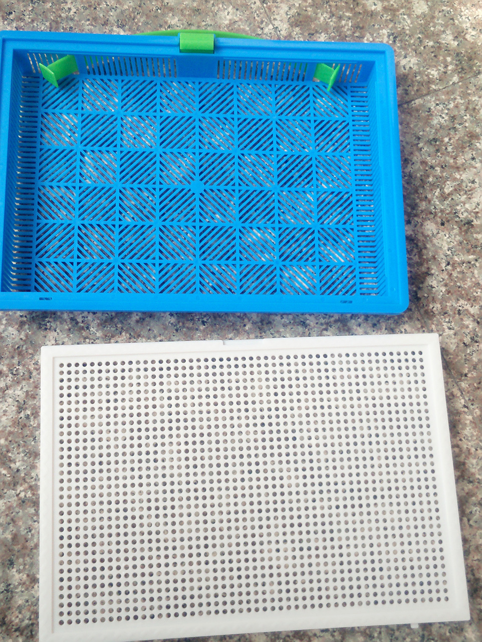 3696902891_957865559