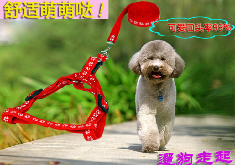 JC001-贴布牵引_01