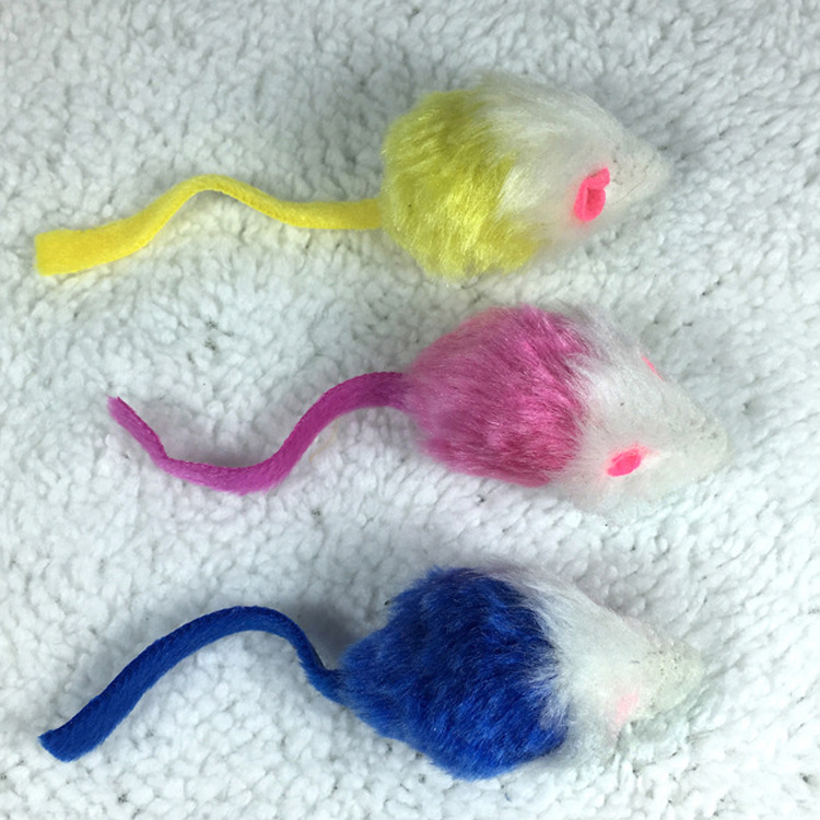 5727979535_2081593300