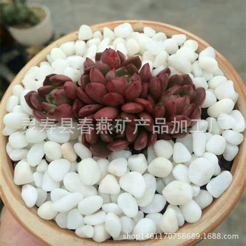 mmexport1489665480272_副本