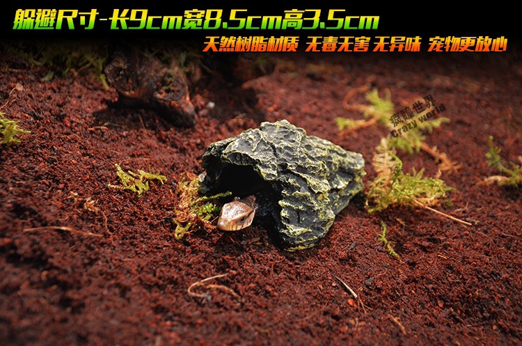 TB2uFRQopXXXXX3XpXXXXXXXXXX_!!