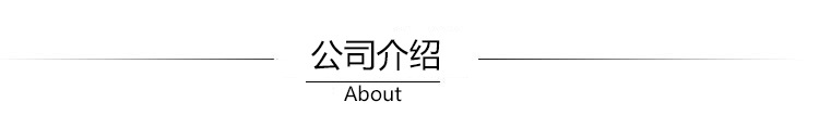 公司介绍