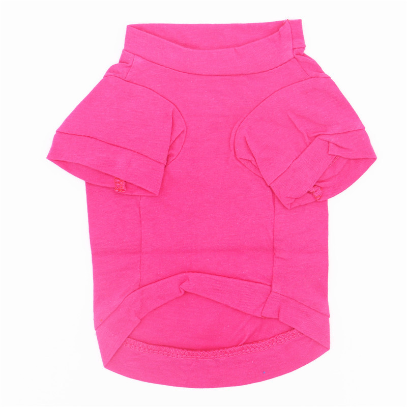 IMG_4746_副本 - 副本 - 副本