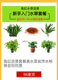 ９６拿货节１２产品_08