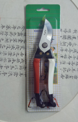 QQ图片20170517120307