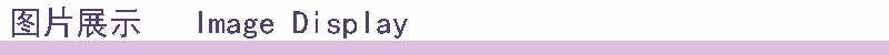 图片展示模版