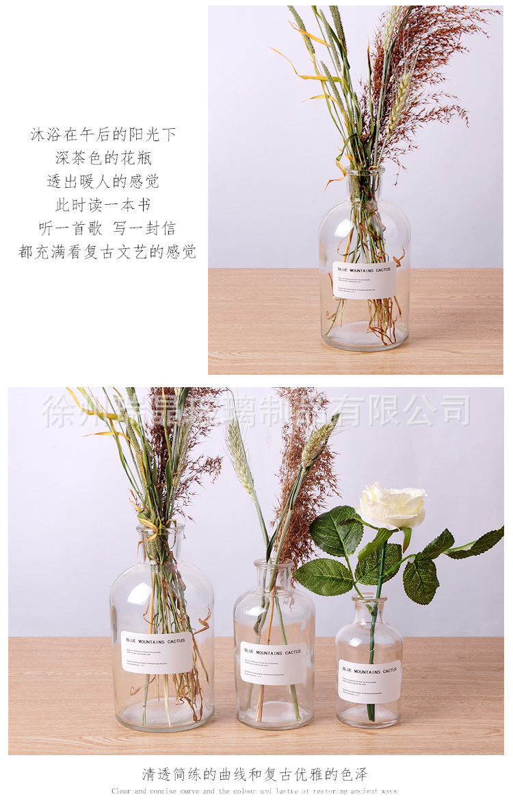 小棕瓶 详情 透明-7