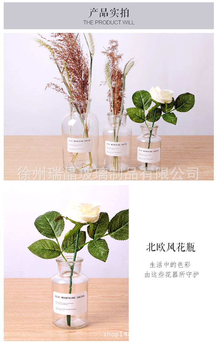 小棕瓶 详情 透明-6