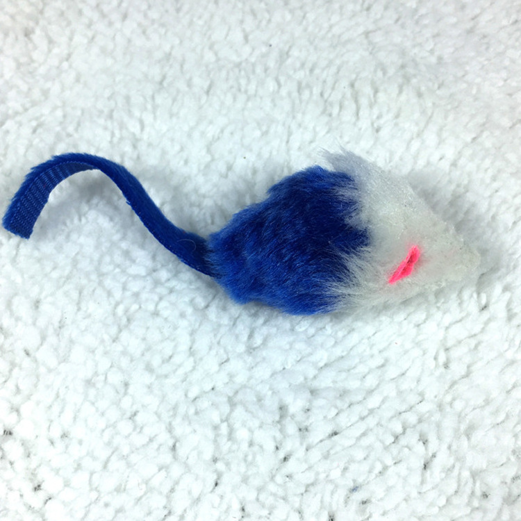 5729312820_2081593300