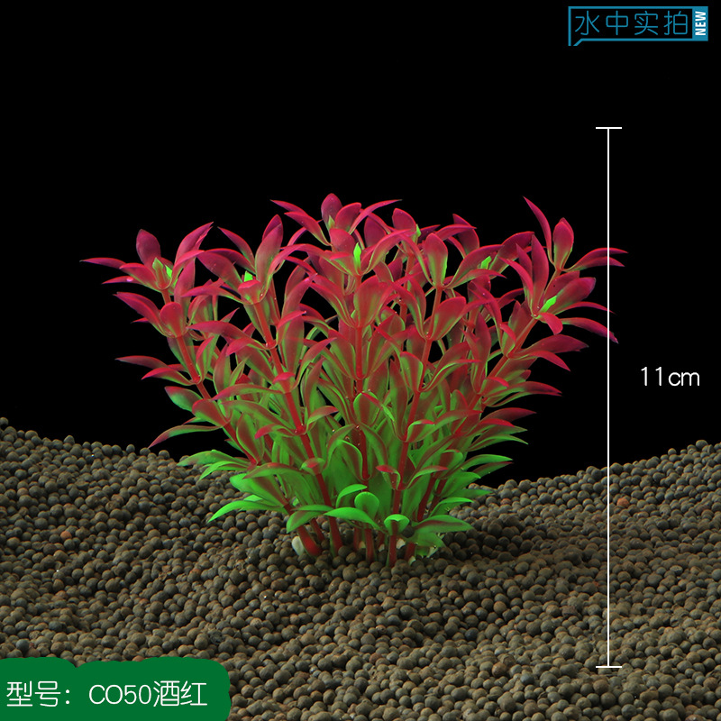 CO50酒红
