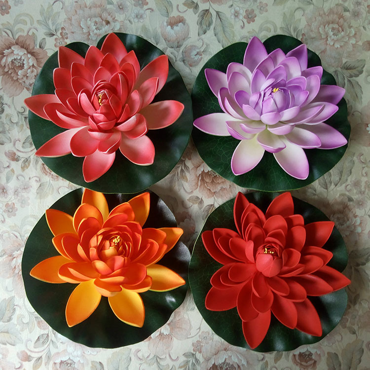 荷花IMG_20170805_105459