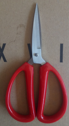 QQ图片20170517152211