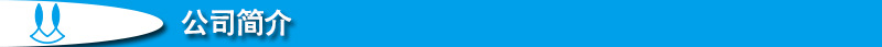 6.公司简介