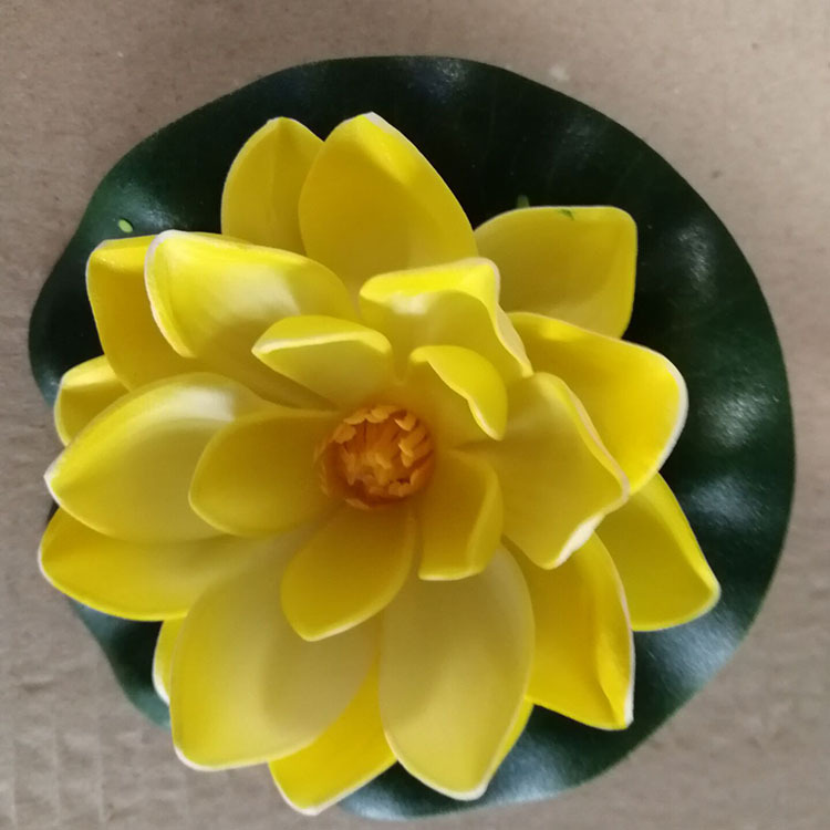 10厘米黄色荷花