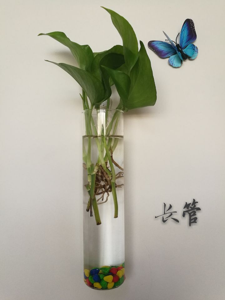 长管1