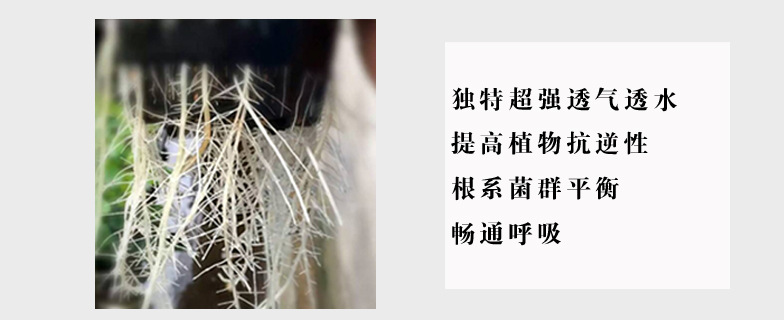 美莳水培篮定植器水培固根器水培定植杯水培植物加深塑