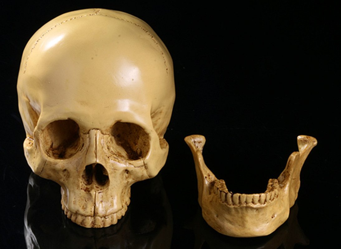 骷髅头-133 (2)重量0.64_副本