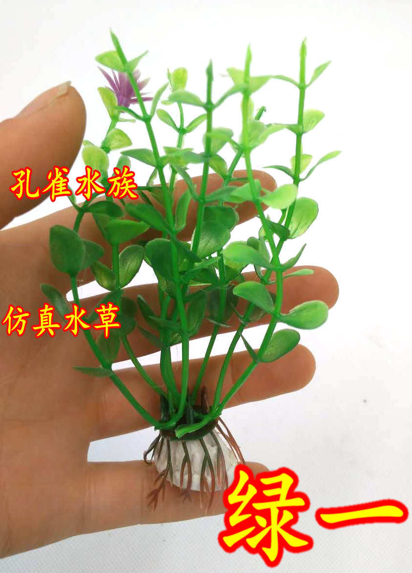 微信图片_20170405104435