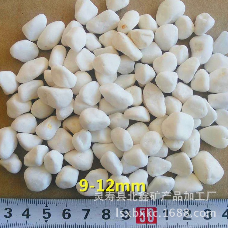 341047375717515850_看王 - 副本