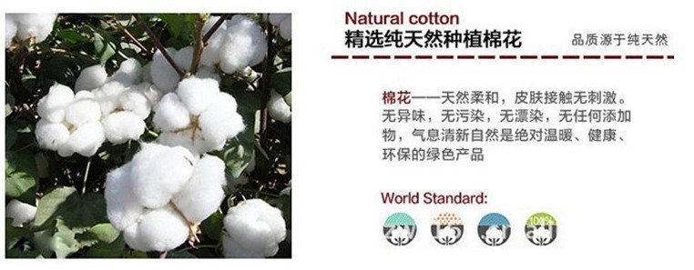 1602034546_1522519840[1]