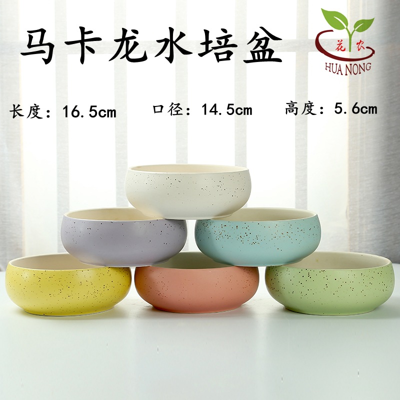 马卡龙水培6色