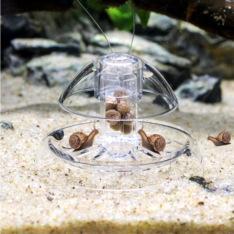蜗牛捕捉器1_副本