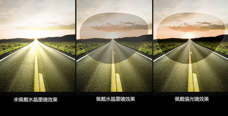 3533894027_1463096582