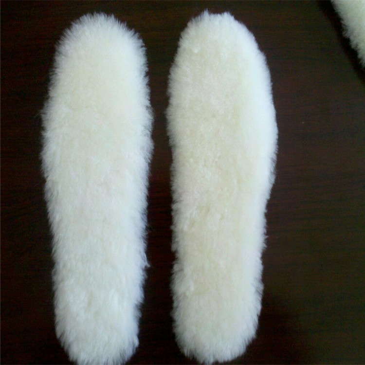 mmexport1504838575969