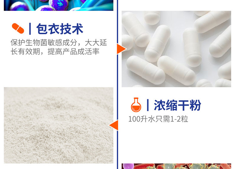 硝化细菌-详情750_10