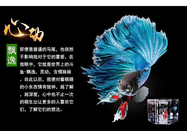 斗鱼缸_28