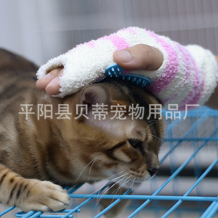 猫刷