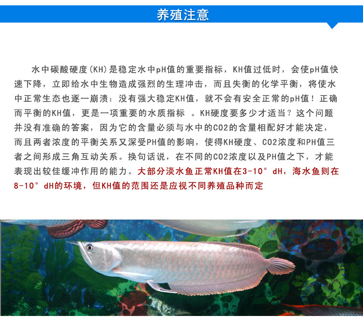 B24详情_07
