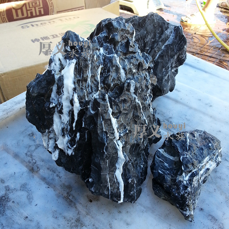 2297438079_159139953