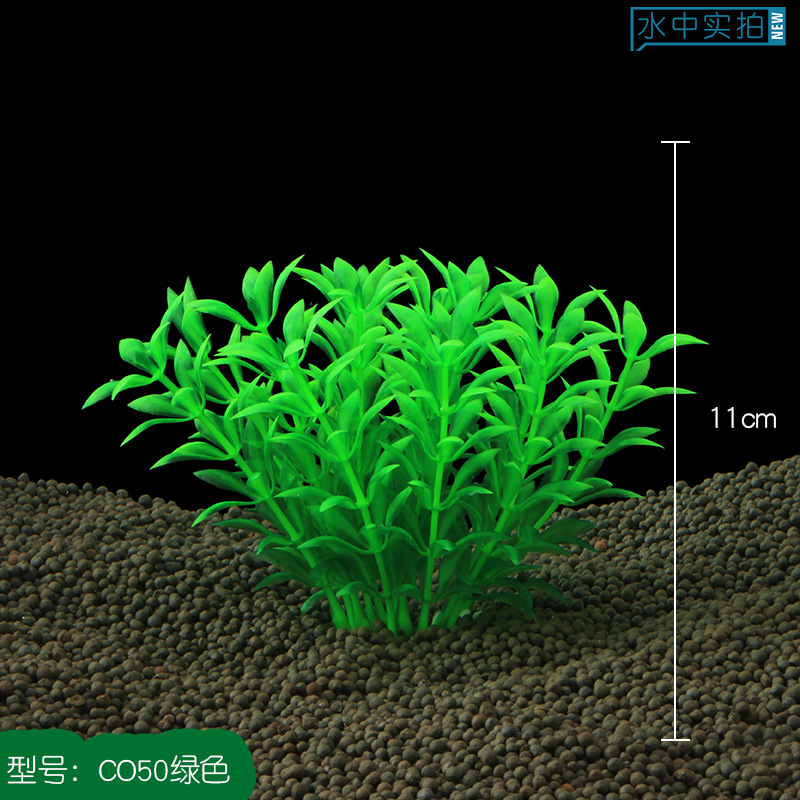 CO50绿色