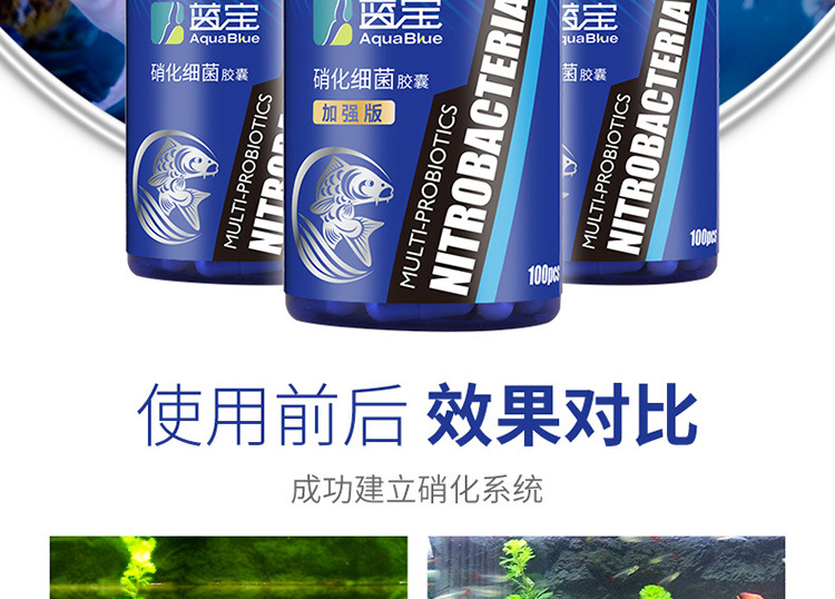 硝化细菌-详情750_02