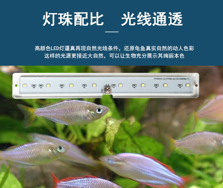 鱼缸灯_04