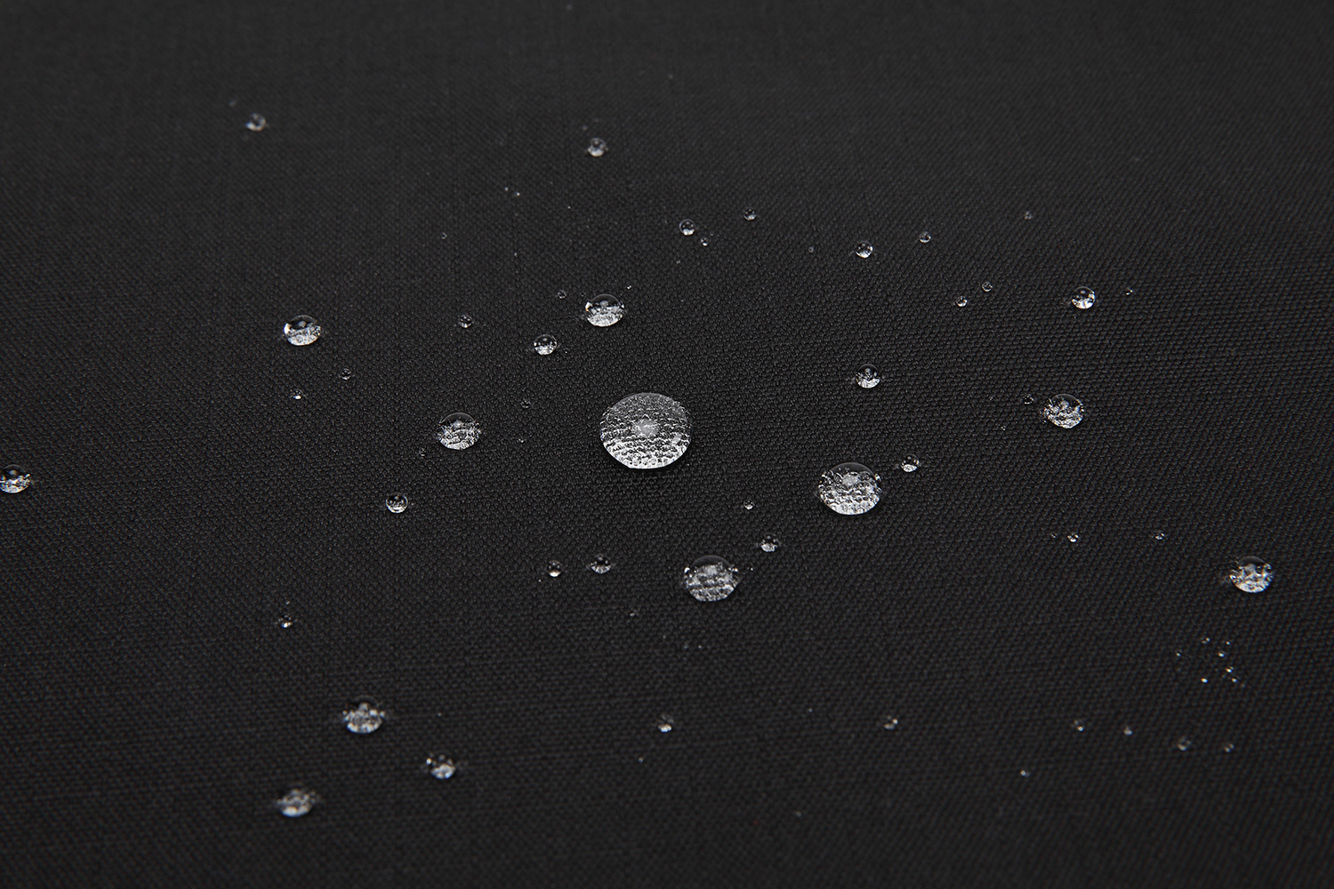 3354001519_1707091008