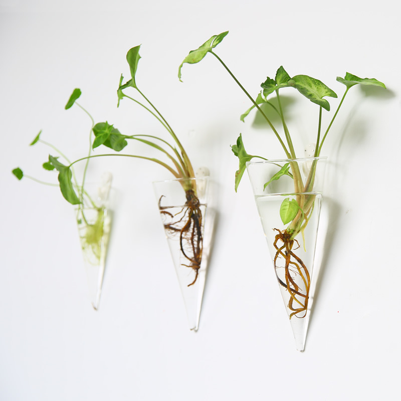 TB21zkLpVXXXXcXXXXXXXXXXXXX_!!