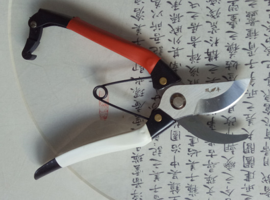 QQ图片20170517120317