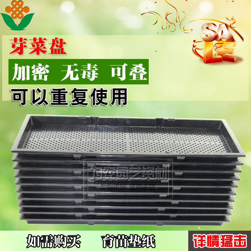 4398908691_782968901